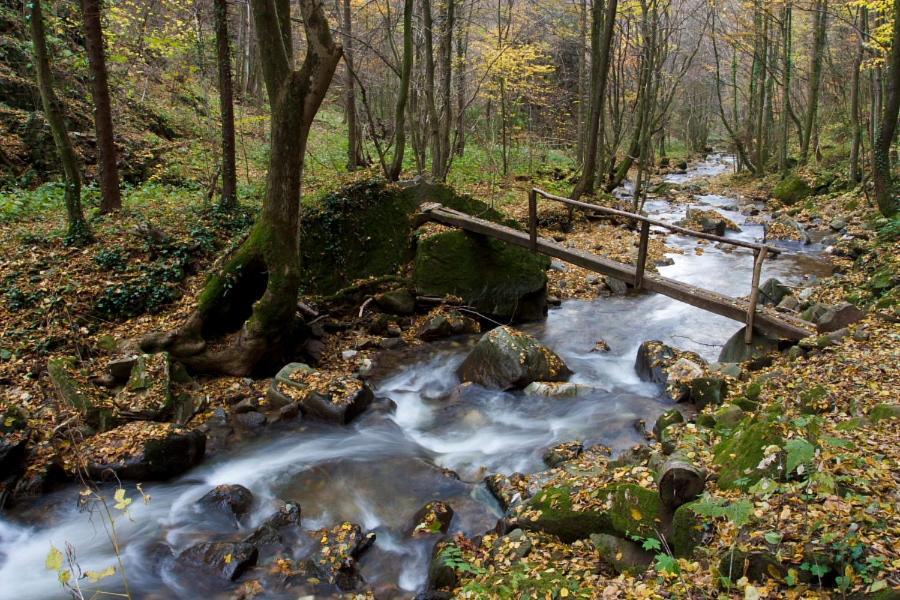 Hotel Ruska Koca Hočko Pohorje Exterior foto